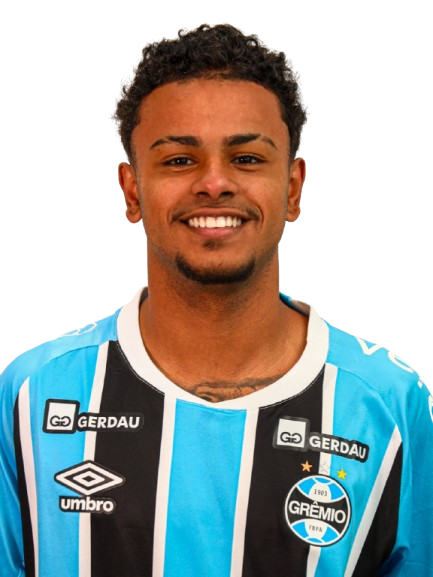 Arquivo:Vinícius Moreira Ferraz.png