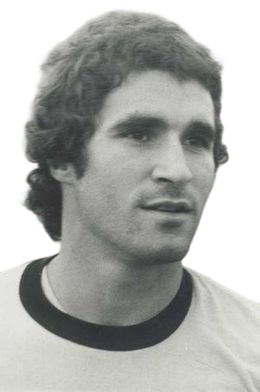 Manoel Francisco de Andrade Spina.png