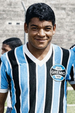 Arquivo:Alcindo Martha de Freitas.jpg