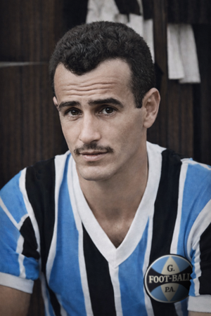 Arquivo:Hercílio Leopoldino Duarte.png