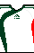 Cores do Palmeiras