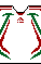 Cores do Fluminense