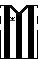 Cores do Botafogo