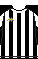 Cores do Botafogo