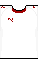 Cores do Fluminense