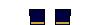 Cores do Pumas