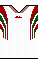 Cores do Fluminense