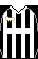 Cores do Botafogo