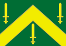 Bandeira de Campina Grande-PB-BRA.png