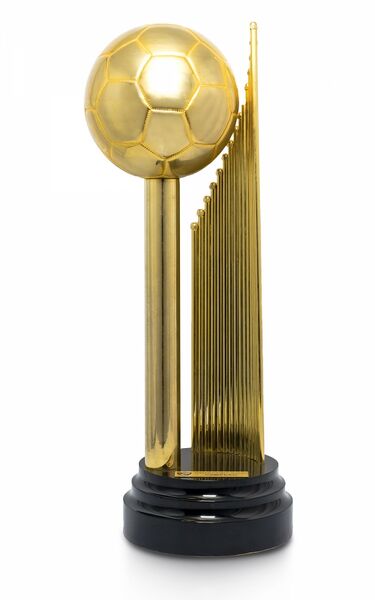 Arquivo:Copa Paulo R. Amoretty.jpg