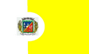 Bandeira de Cachoeira do Sul-RS-BRA.png