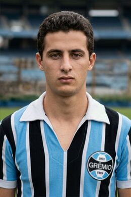 Júlio Laerte Camilo do Amaral.jpg