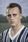 Walter Krauchemberg.png