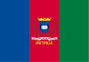 Bandeira de Ipatinga-MG-BRA.png