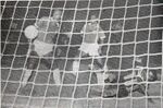 23.12.1957 - Foto 2.jpg