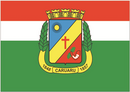 Bandeira de Caruaru-PE-BRA.png