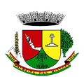Seleção de Palmeira das Missões