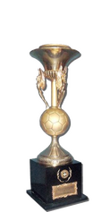 Campeonato Brasileiro