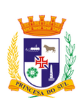 Seleção de Pelotas