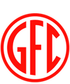 Escudo Guarani de Alegrete.png