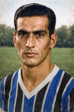 Venicius Ribeiro da Silva.png