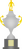 Taça Piratini.png