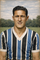 Waldemar Ferreira Castro.png