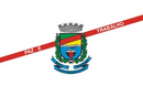Bandeira de Bento Gonçalves-RS-BRA.png