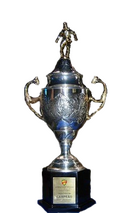 Taça Piratini