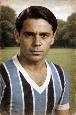 André Mottini.png