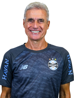 Luís Manuel Ribeiro de Castro.png