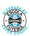 Escudo Super Craque.png